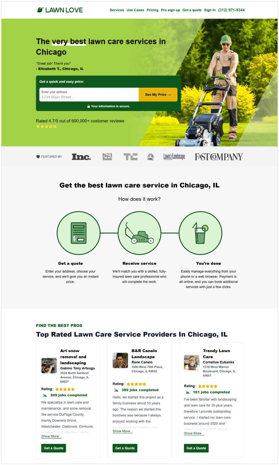 Rasenpflege Chicago
