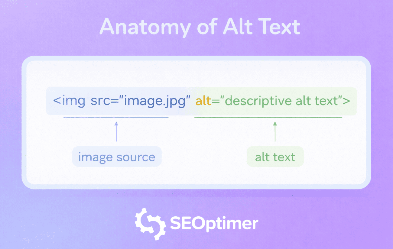 Alt-Text-Anatomie